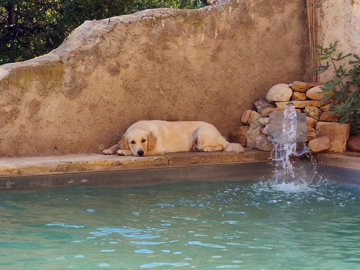 Vakantiehuis Sci Domaine Saint Martin Le Grand